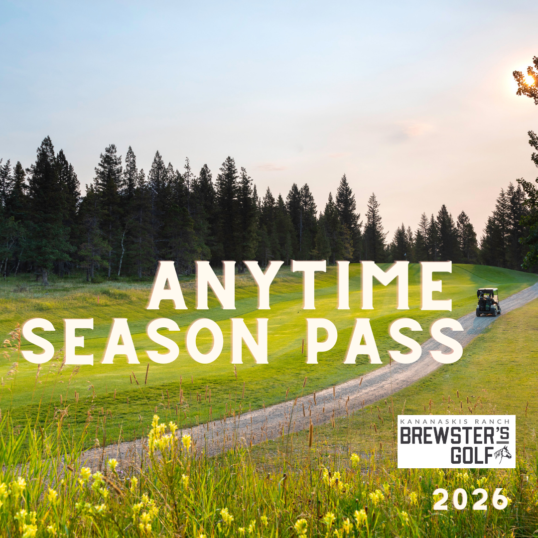 Seniors (65 +) Anytime Season Pass